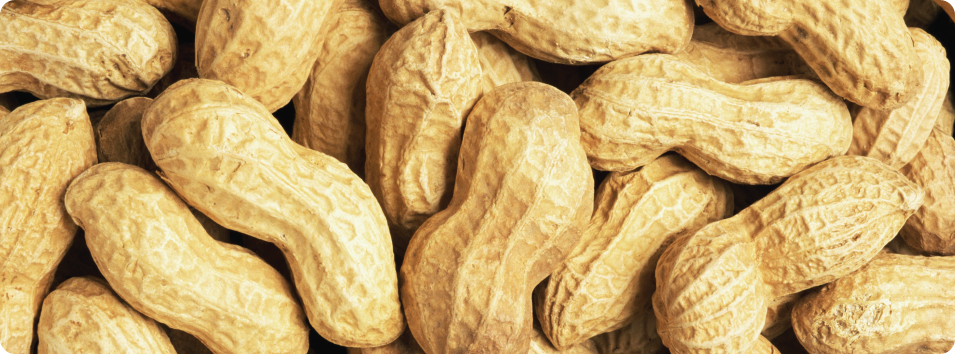 Peanuts from India
