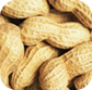 Peanuts from India